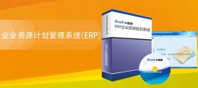 企业资源计划管理系统（ERP）